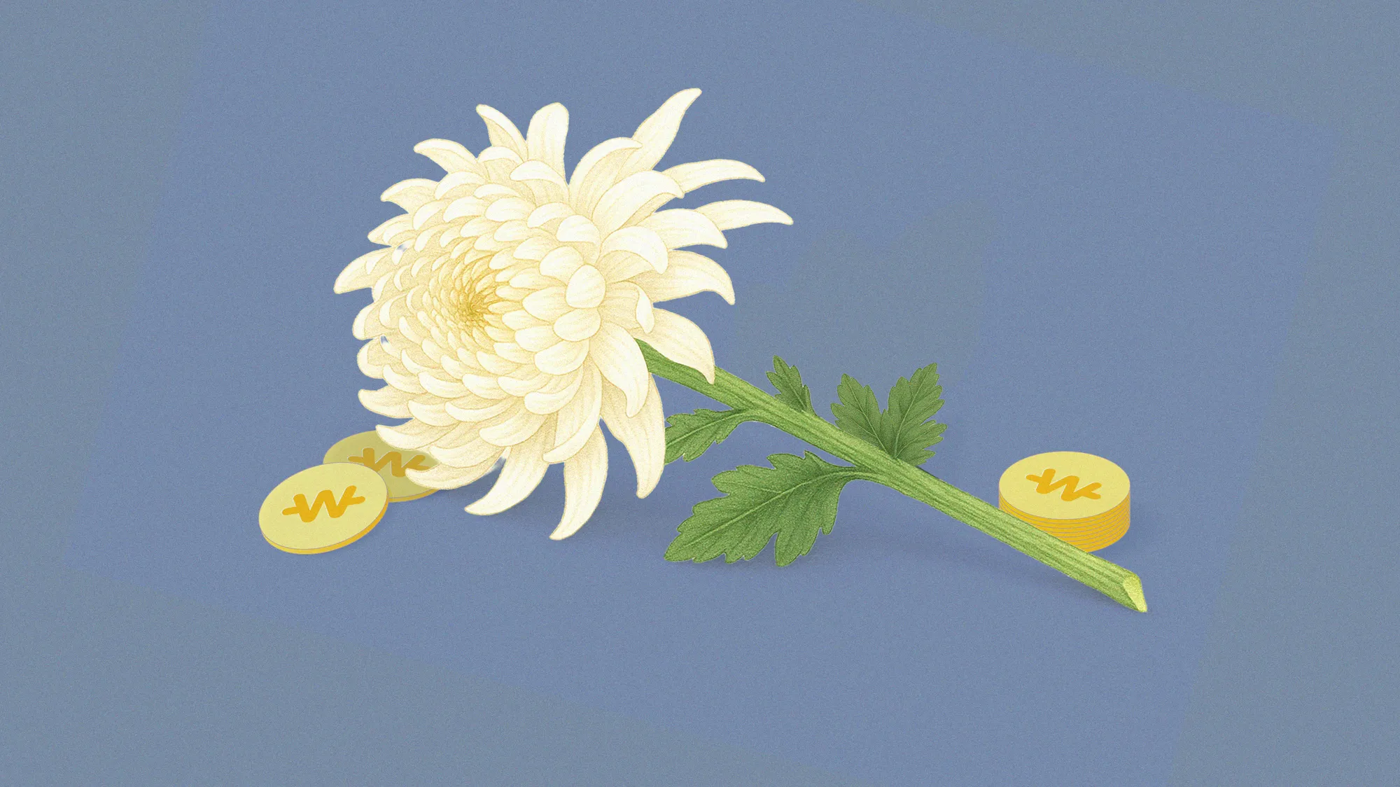 좋은 상조는 어떻게 골라야 할까?